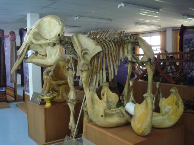 DSC00395_resize.JPG